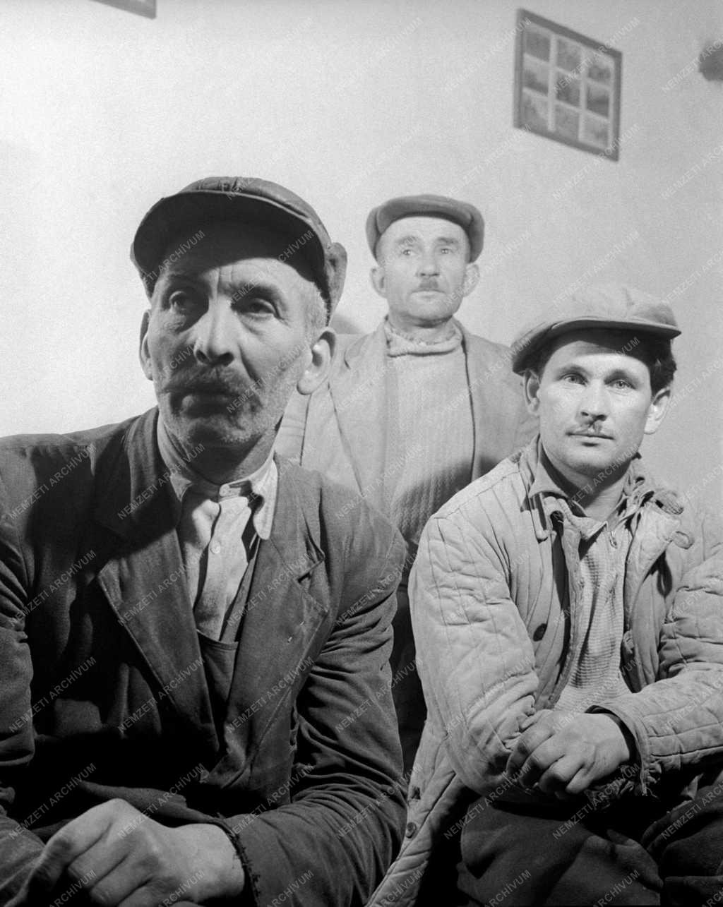 Mezőgazdaság - Szentgáli Szabadság Termelőszövetkezet