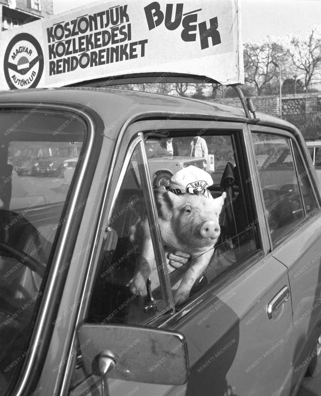 Szilveszter - Közlekedési rendőrök köszöntése