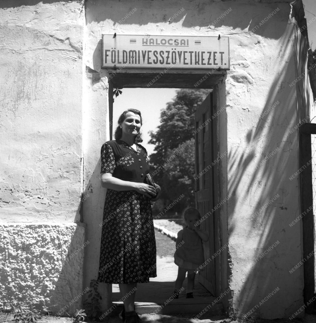 Mezőgazdaság - Földműves-szövetkezet Kalocsán