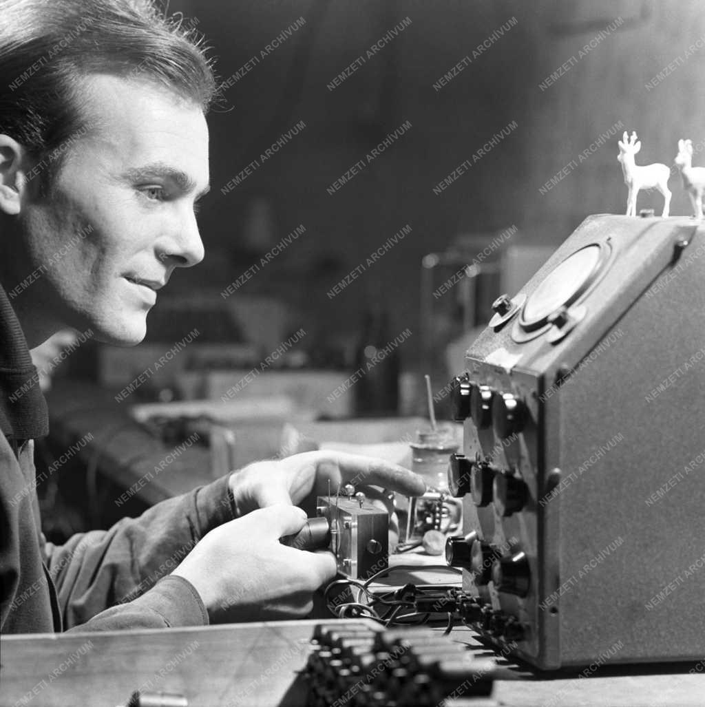 Ipar - Háziasszonyok otthon készítik az elektromotorokat 