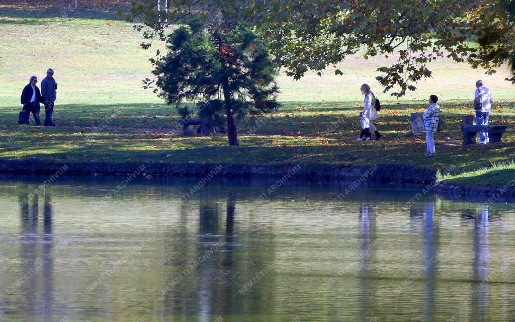 Természet - Martonvásár - Ősz a Brunszvik-kastély parkjában