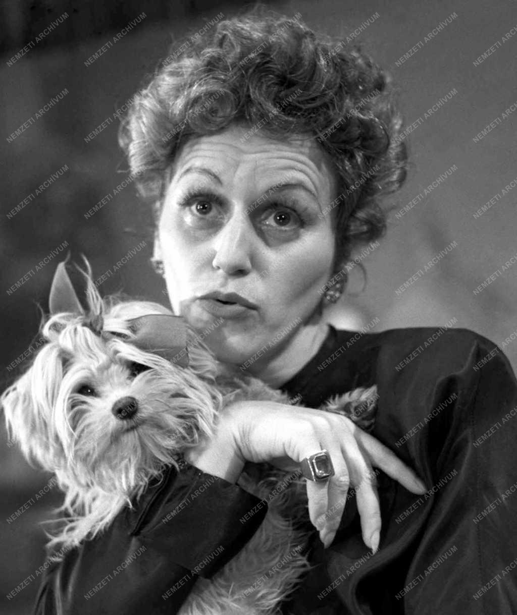 Kártyavár - bemutató a Pécsi Nemzeti Színházban