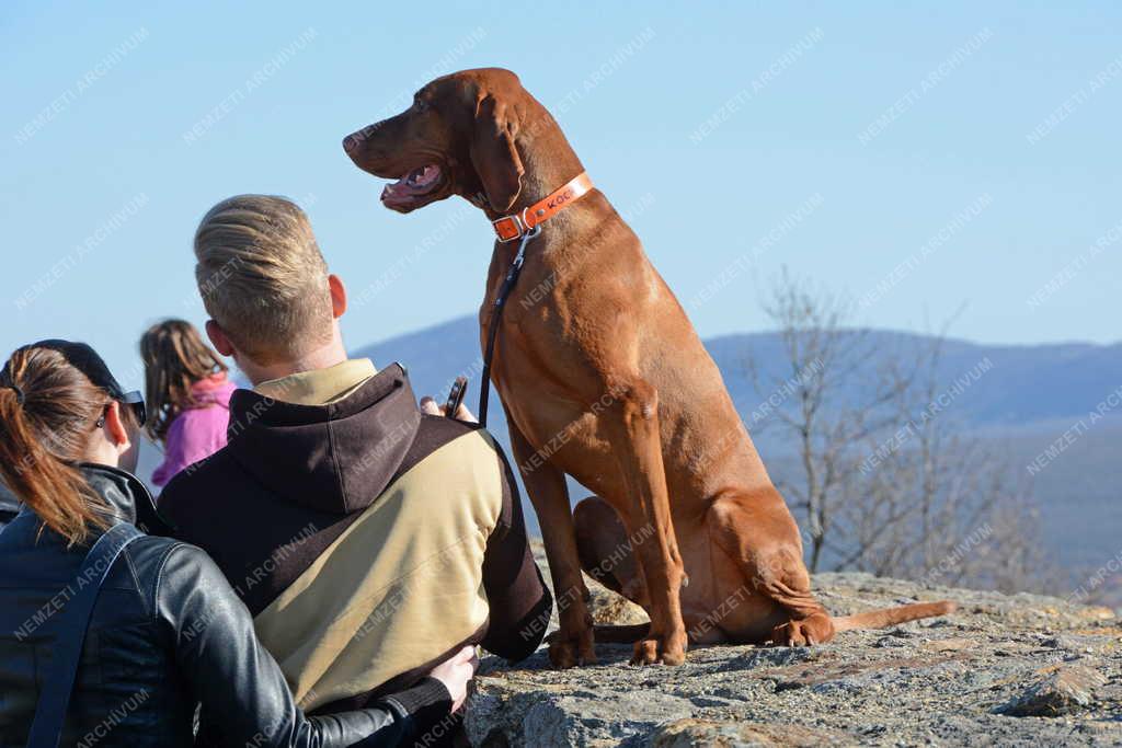Életkép - Nógrád - Turisták a nógrádi vár falán