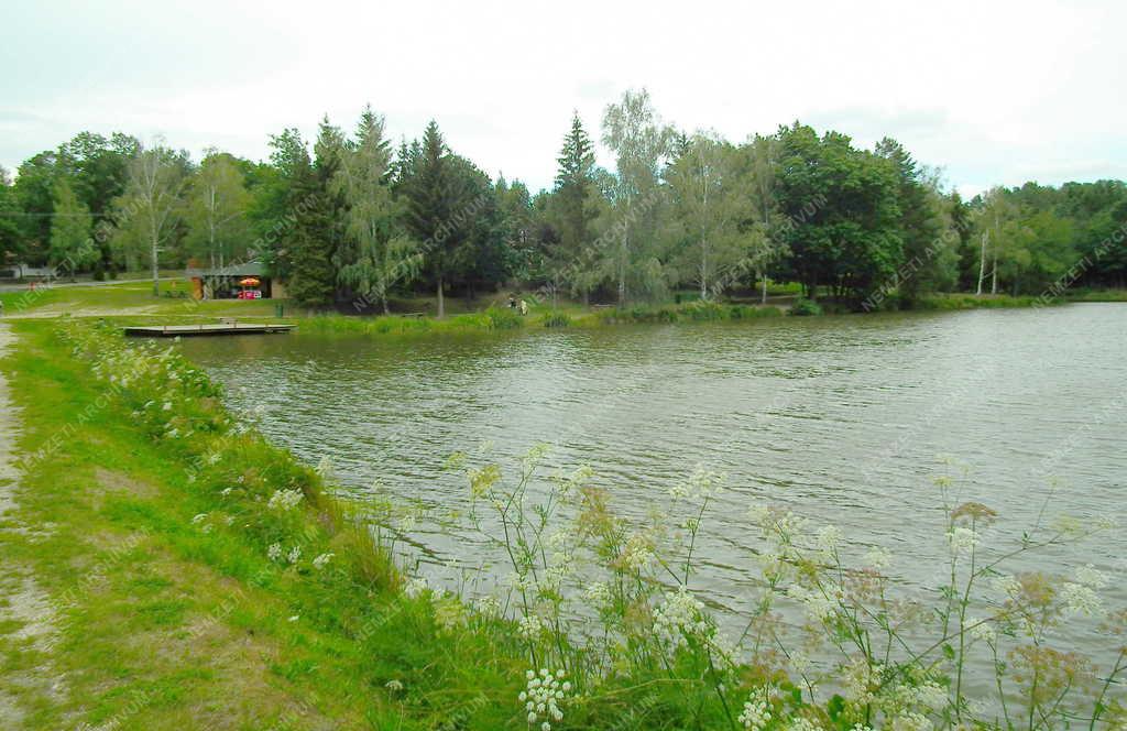 Tájkép - Hegyhátszentjakab - A Vadása-tó