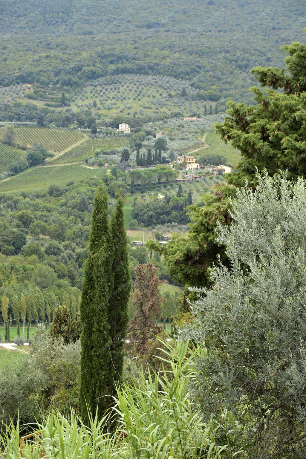 Tájkép - San Gimignano - Toszkán táj