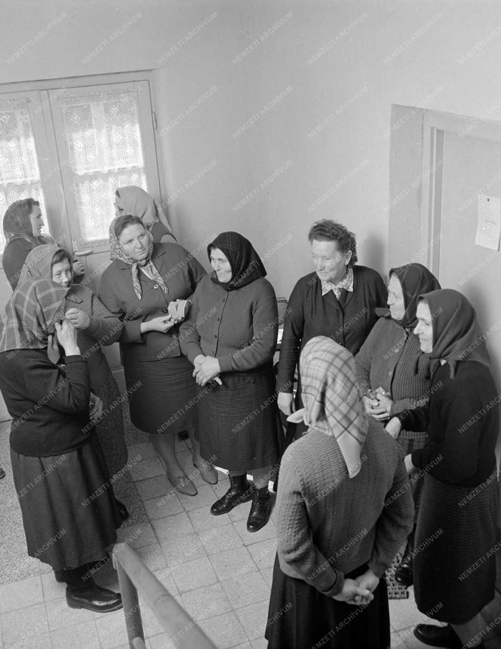 Oktatás - Tsz gazdák vizsgáznak Ipolytarnócon