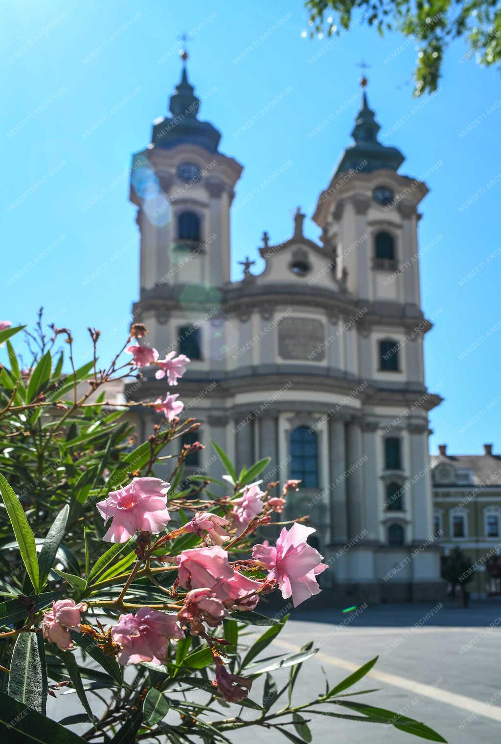 Városkép - Eger - A Minorita templom 