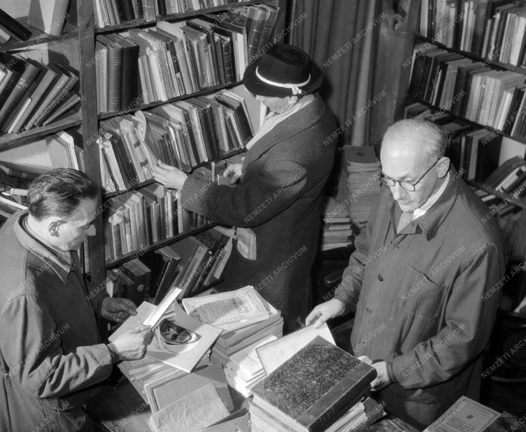 Kultúra - Antikvárium