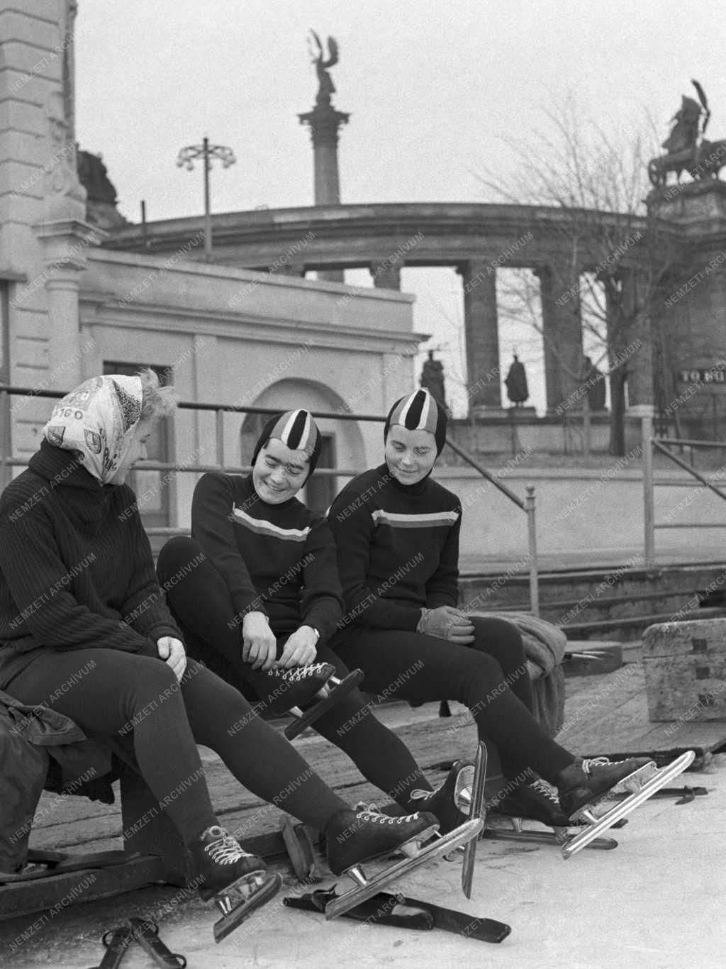 Sport - Gyorskorcsolya