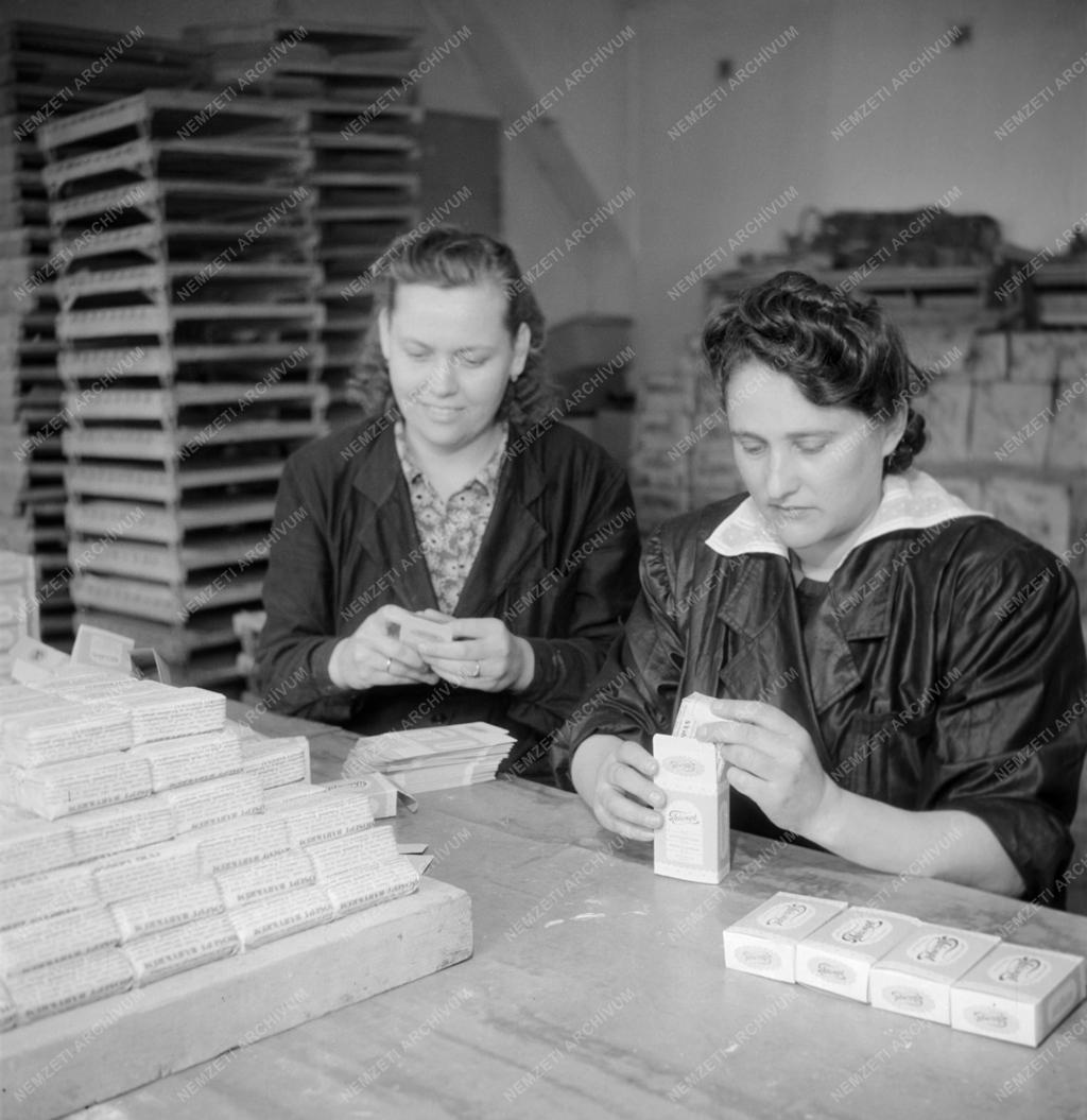 Ipar - Meister Szappangyár