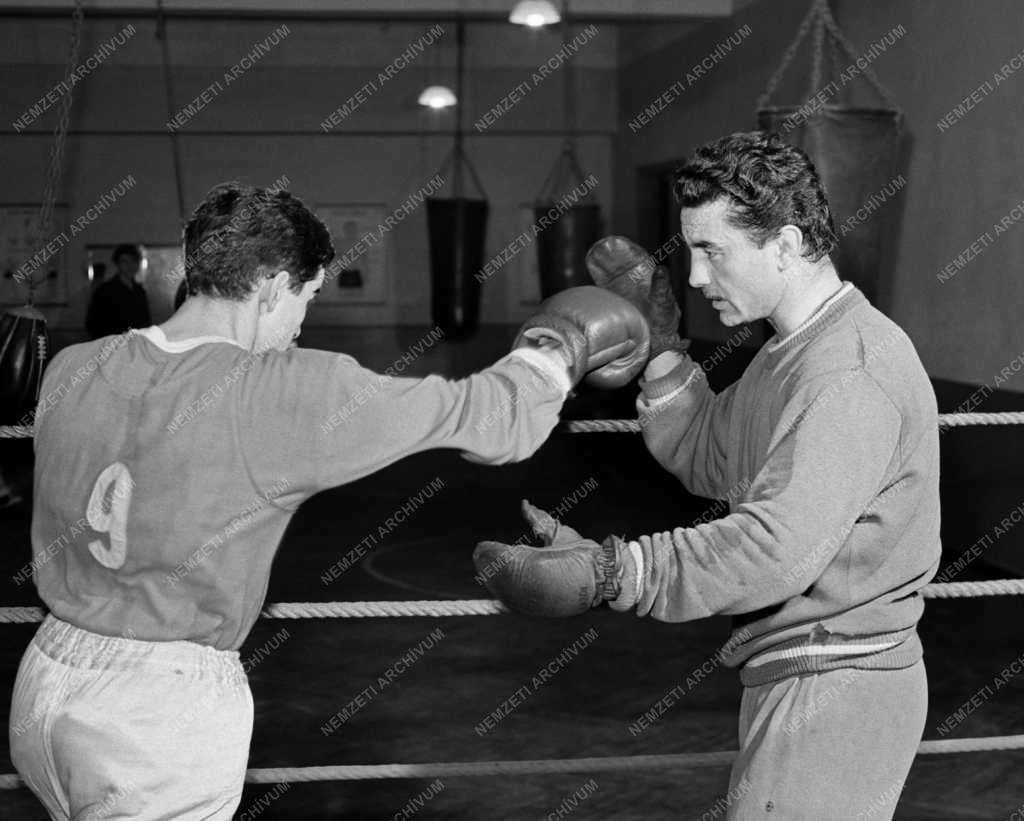 Sportoktatás - Ökölvívás - Papp László fiatalokat edz