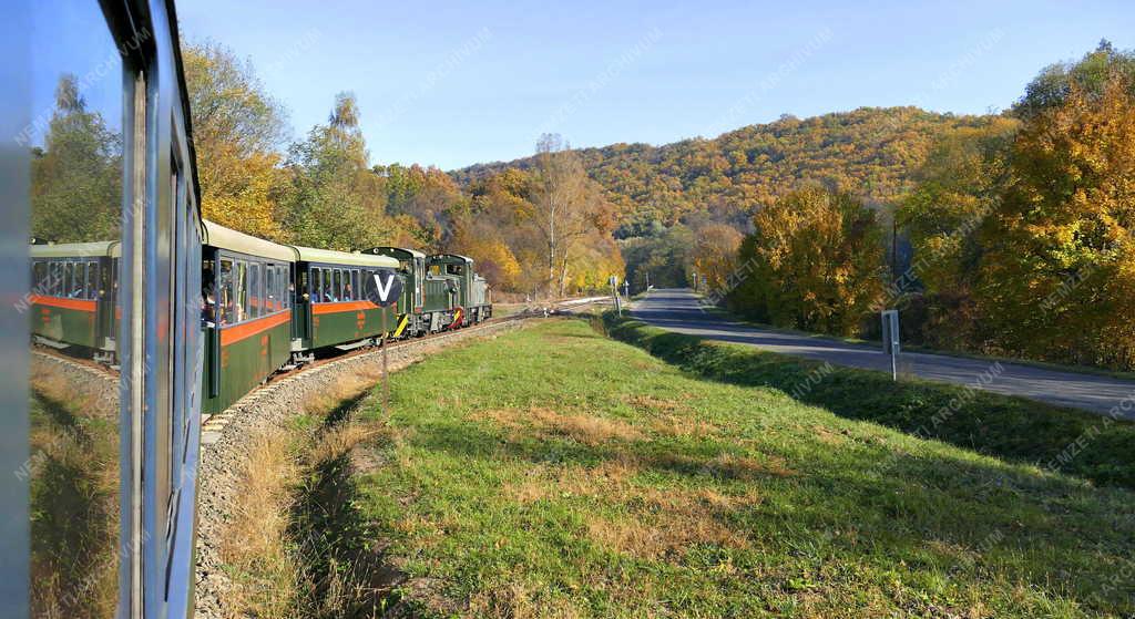 Közlekedés - Turizmus - Királyréti Erdei Vasút