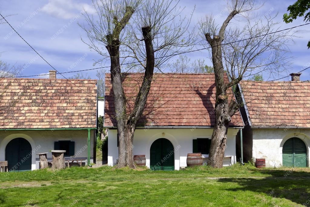 Település - Présházak és borospincék Tökön