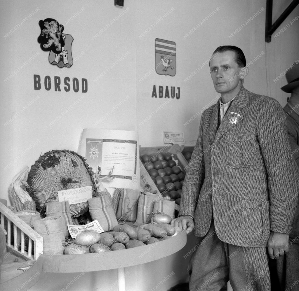 Mezőgazdaság - Mintagazdák az Őszi Vásáron
