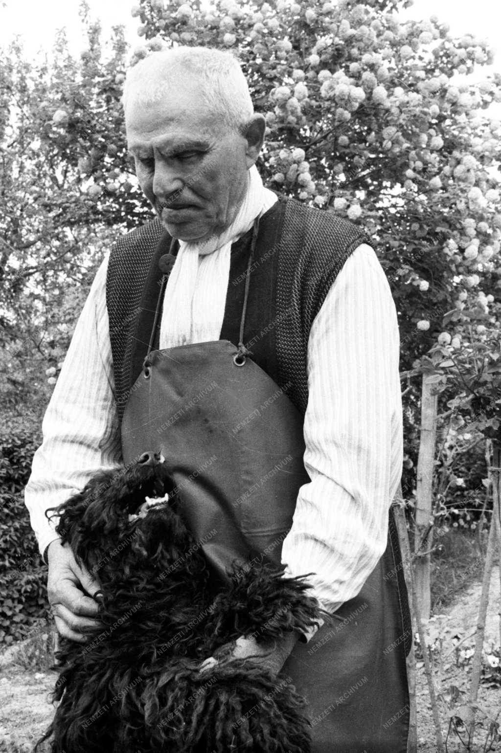 Természettudomány - Széles Lajos feltaláló