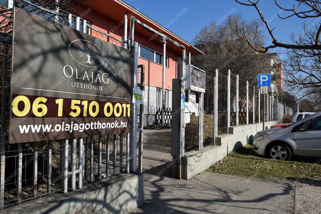 Szociális ellátás - Demográfia - Olajág Otthonok