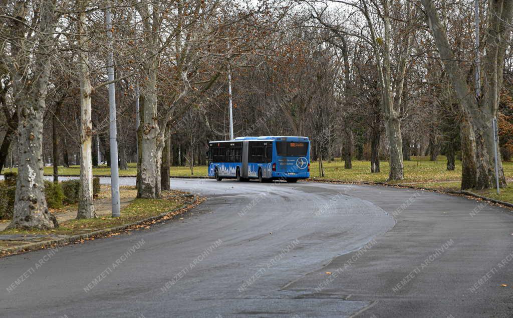 Közlekedés - Budapest - Reptéri autóbusz a Népligetben