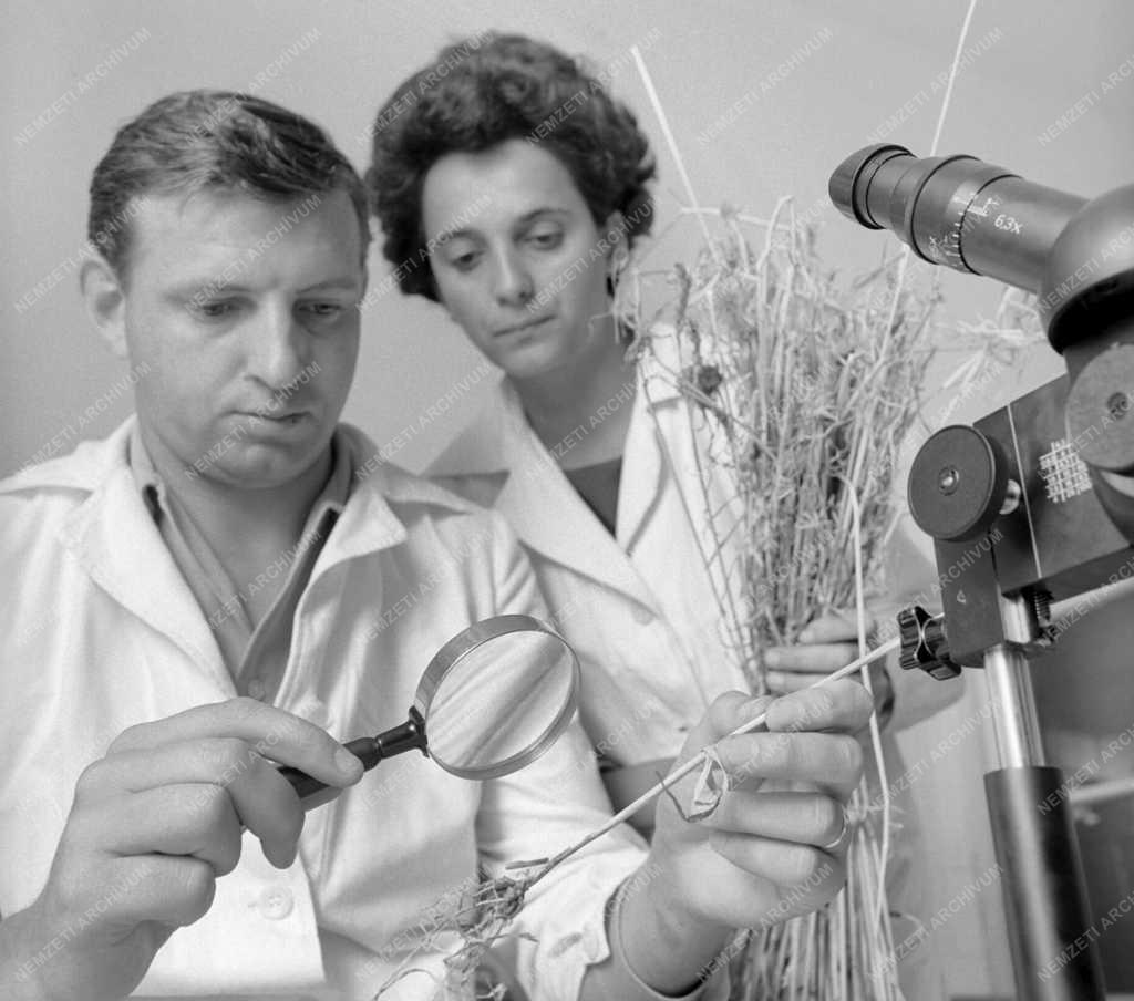 Mezőgazdaság - Somogy megyei Növényvédő Állomás