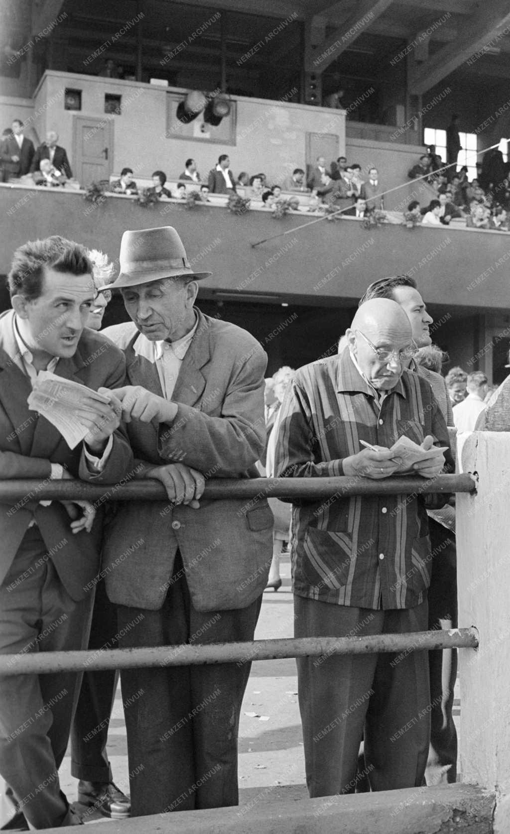 Sport - Budapest–Bécs ügetőverseny  