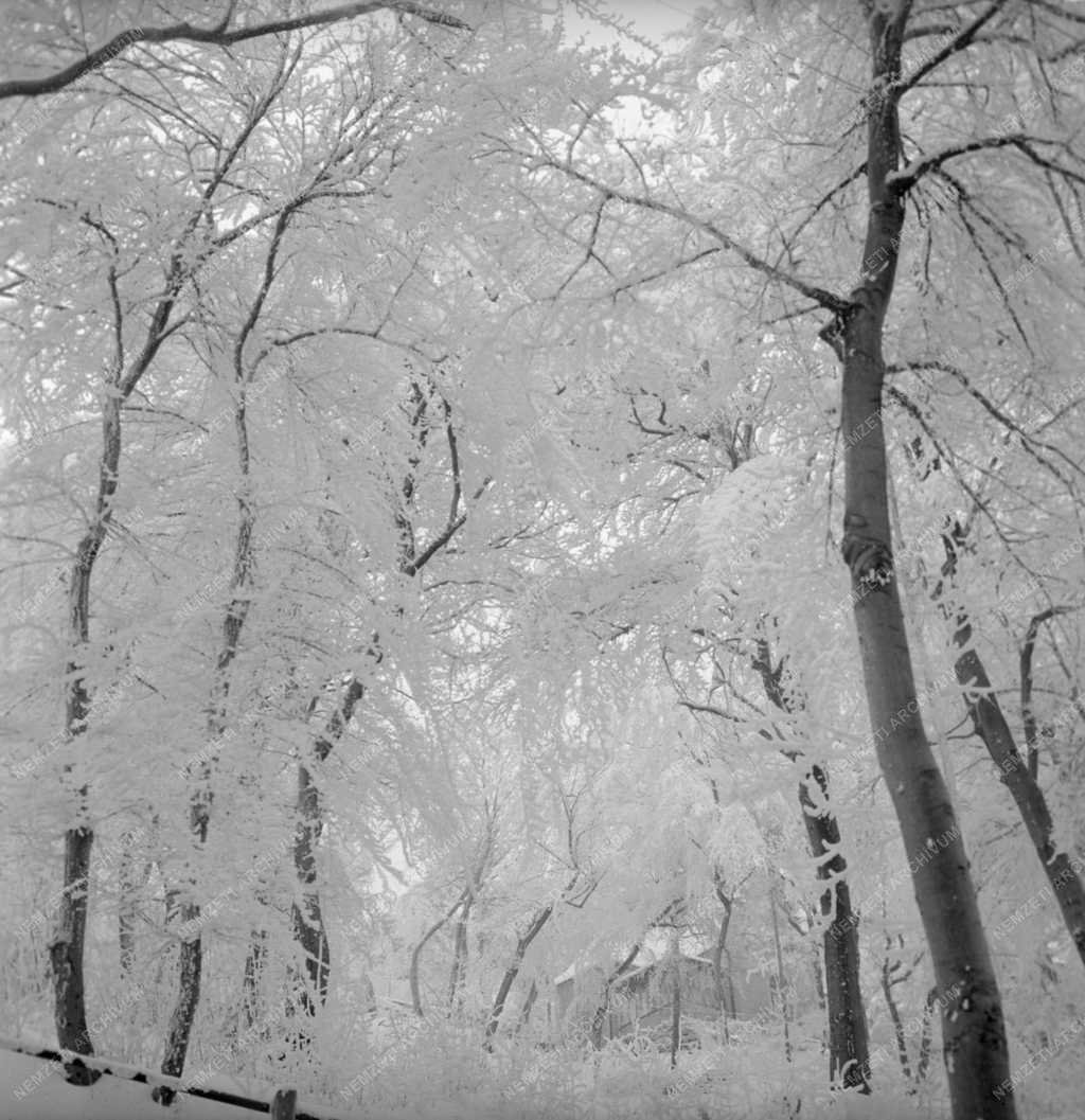 Időjárás - Téli táj