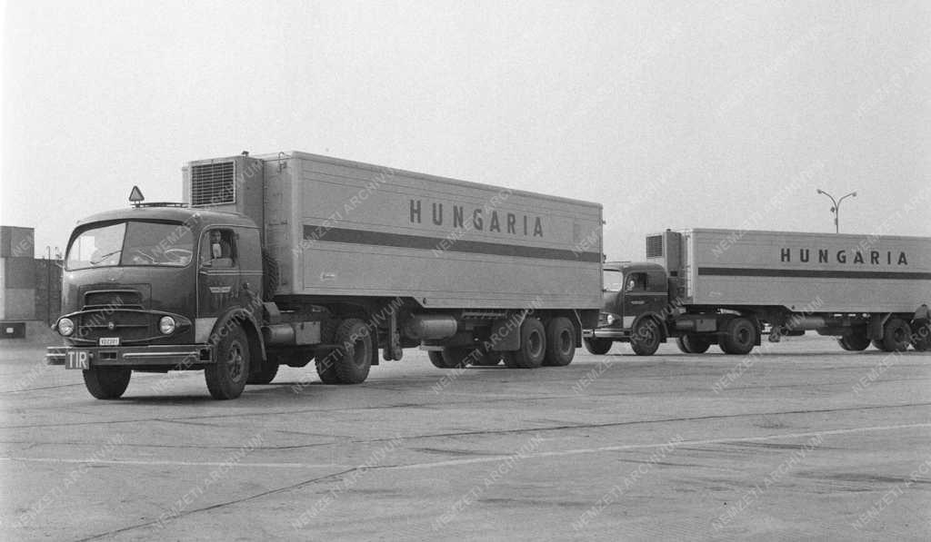 Közlekedés - Az Autóközlekedési Vállalat új hűtő teherjármúvei