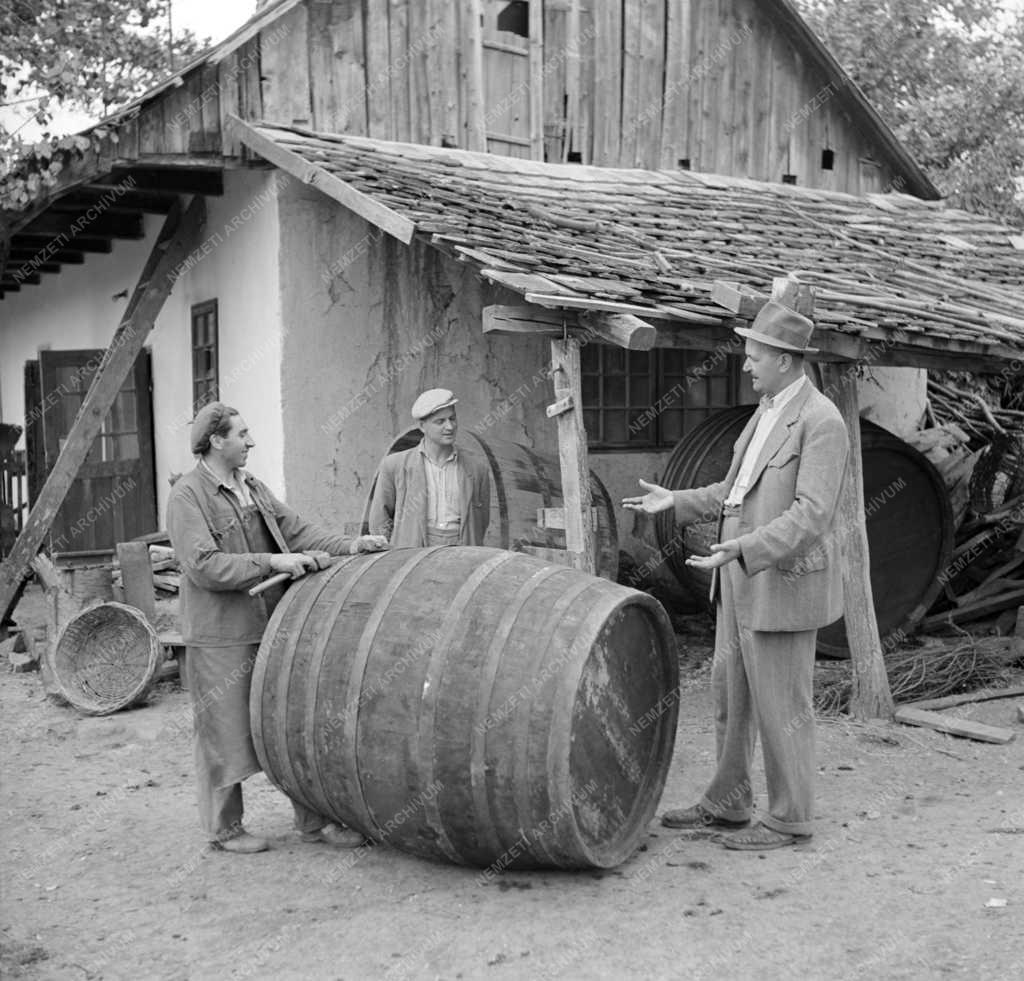 Mezőgazdaság - Gyöngyöspatai szőlőtermelő szakcsoport