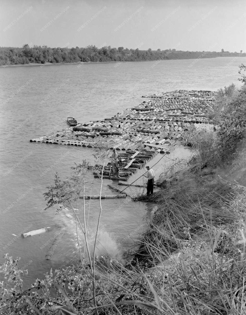 Erdőgazdálkodás - Kelet-Bükki Állami Erdőgazdaság