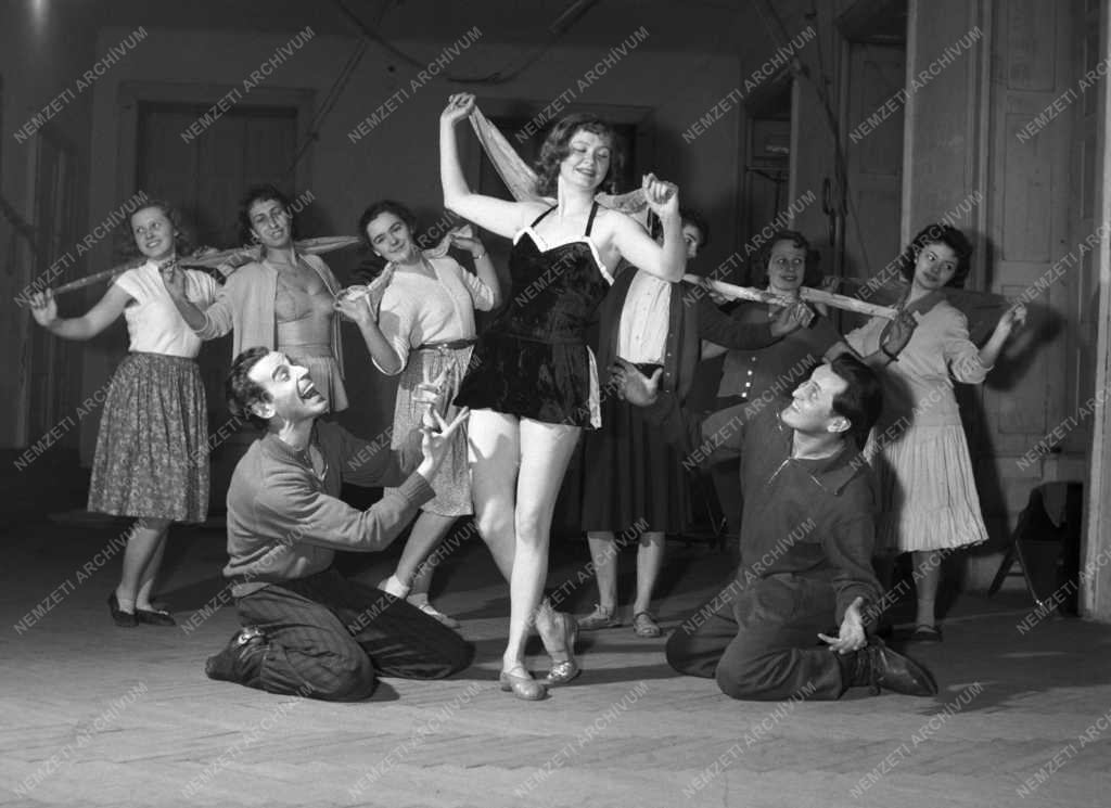 Kultúra - Cirkusz - Négyesy artisták