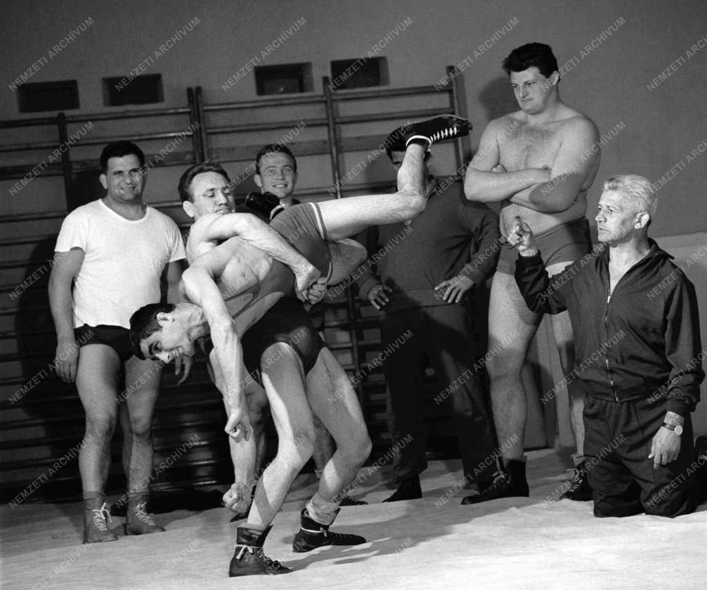 Sport - Birkózás