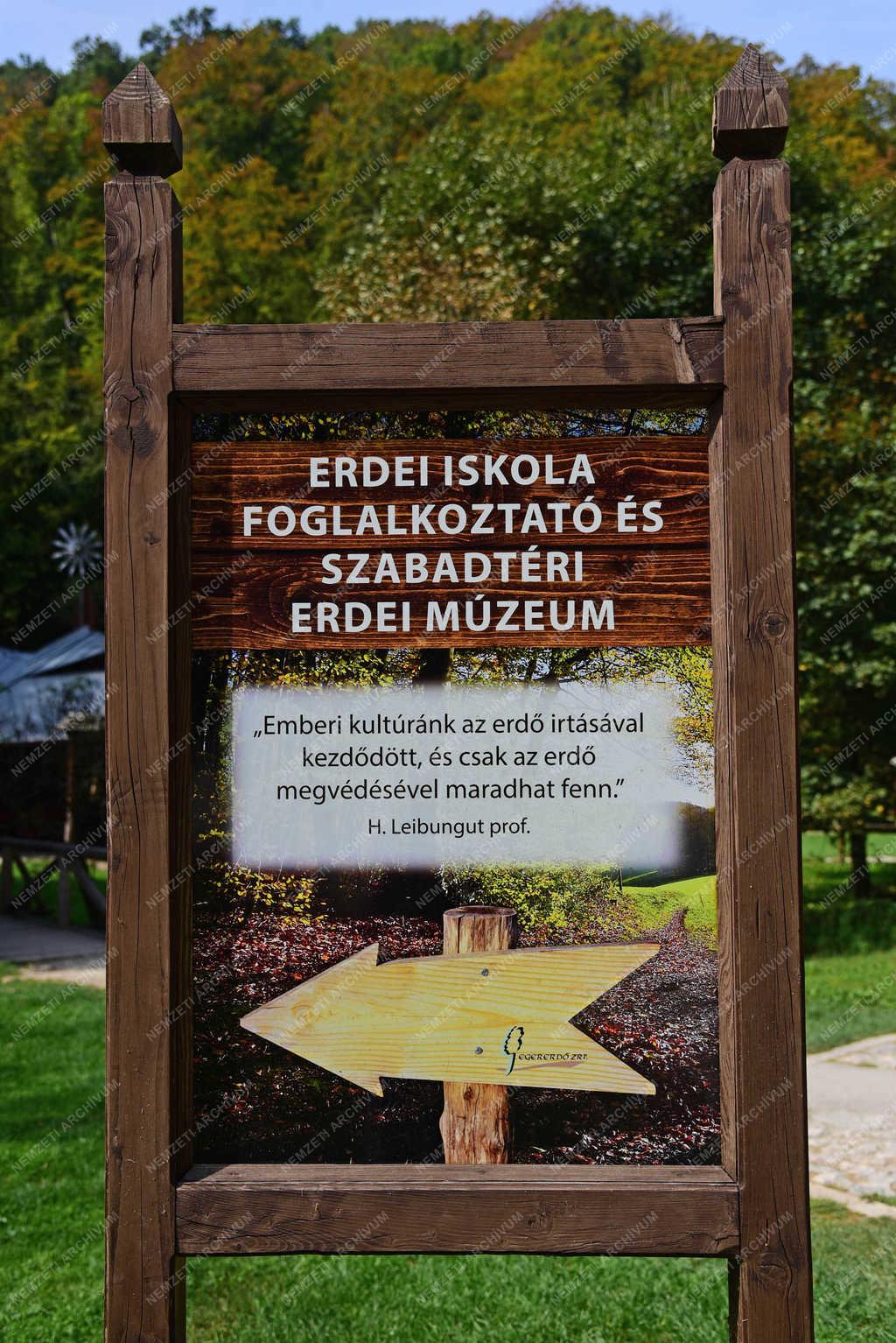 Természet - Szilvásvárad - Szalajka-völgy