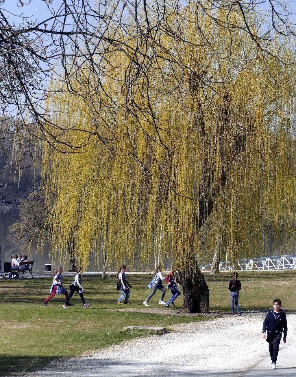 Szabadidő - Esztergom - Fiatalok az Erzsébet-parkban