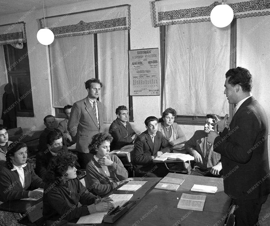 A szerző válogatása - Buzsák