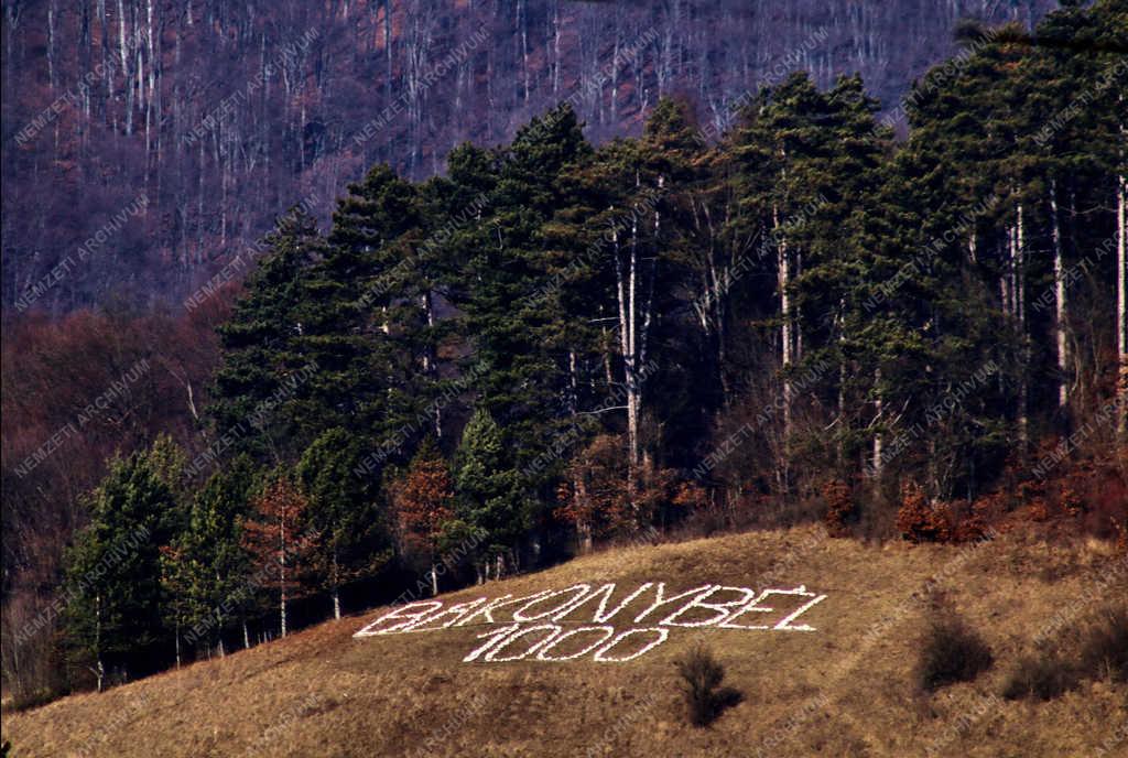 Természet - Bakonybél - Erdő