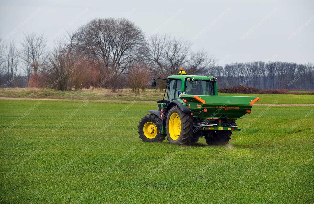 Mezőgazdaság - Műtrágyázzák a búza és a rozs hibridet Debrecennél