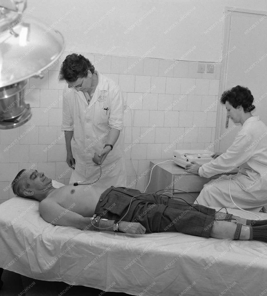 Egészségügy - ORFI Gerontológiai Kutató Intézet