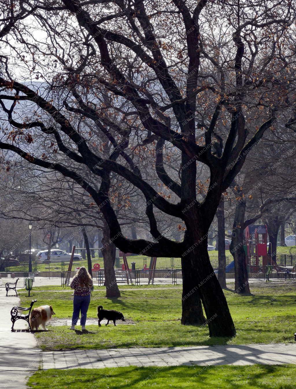 Városkép - Budapest - A Horváth-kert tavasszal