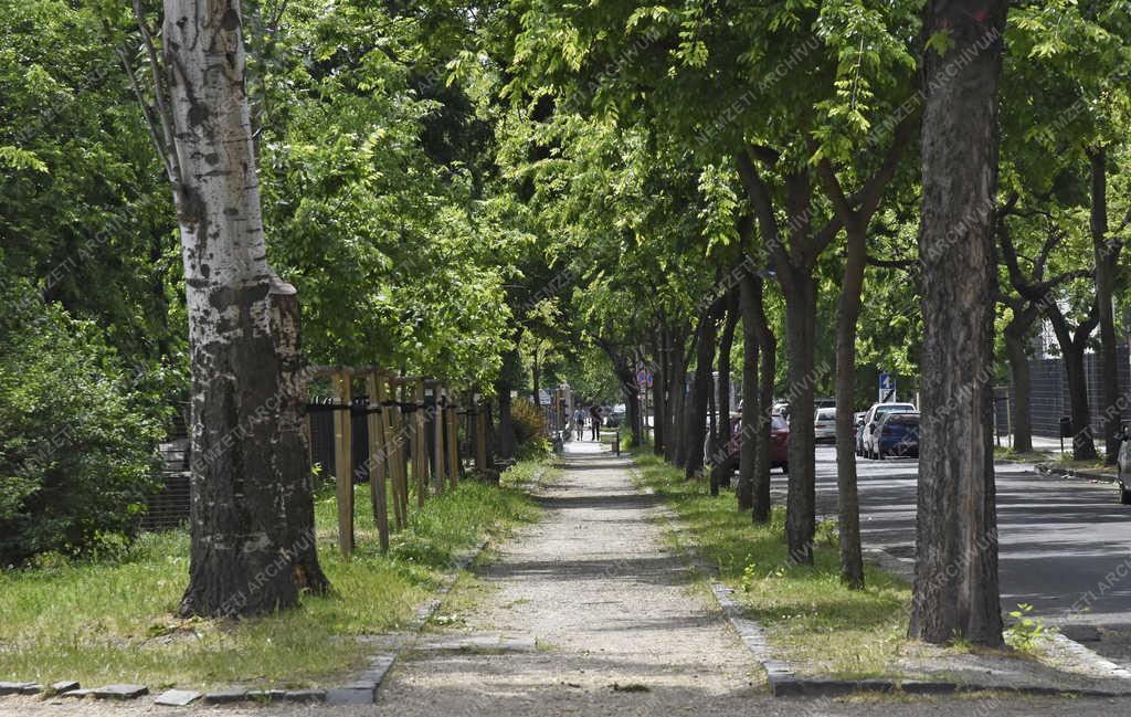 Városkép - Budapest - Park a Szenes Iván téren