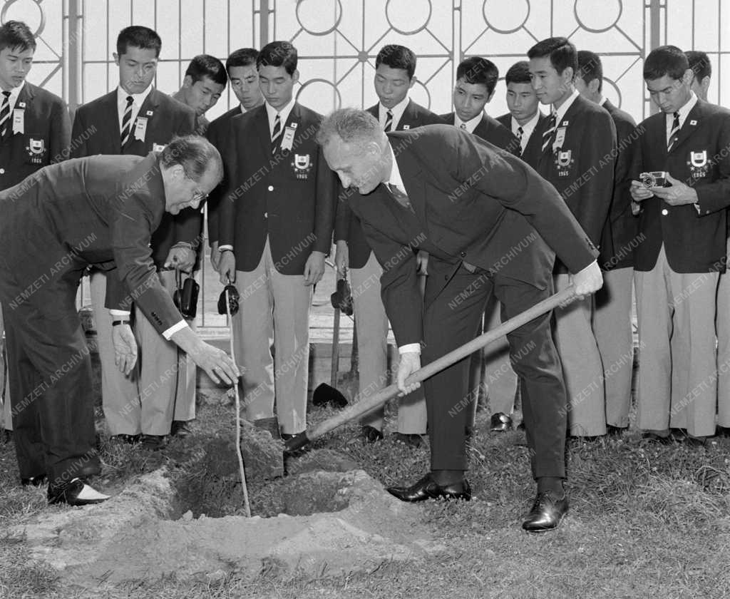 Sport - Az 1965-ös Universiade Budapesten