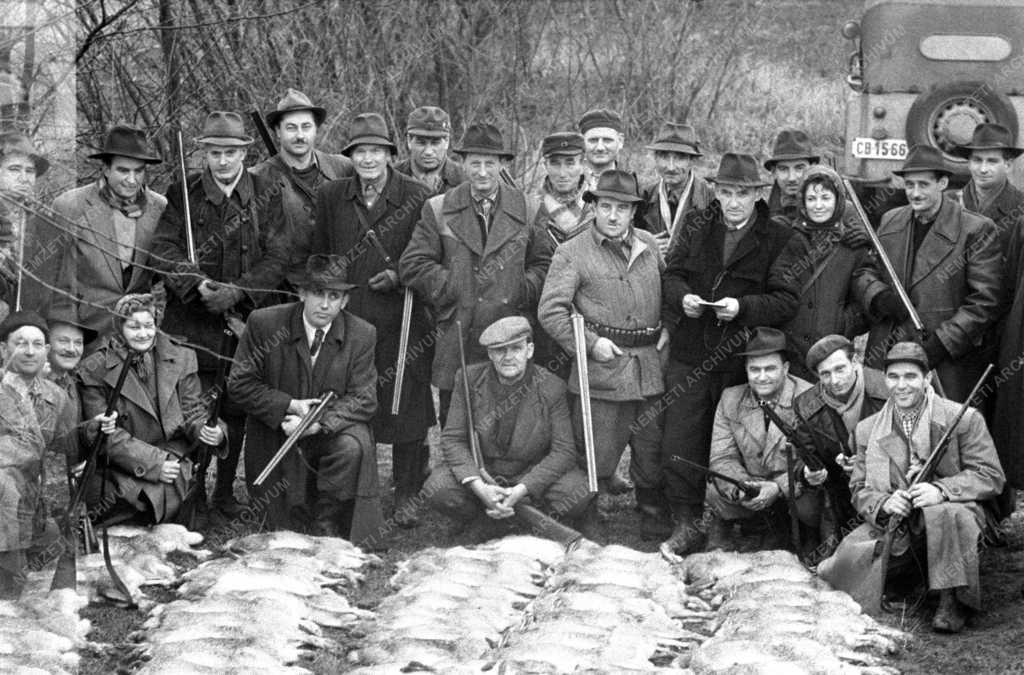 Mezőgazdaság - Hírügynökség - Az MTI munkatársai vadászaton