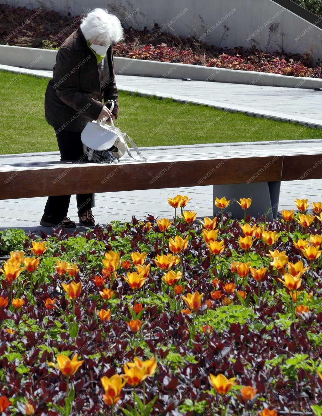 Városkép - Budapest - Millenáris Széllkapu Park