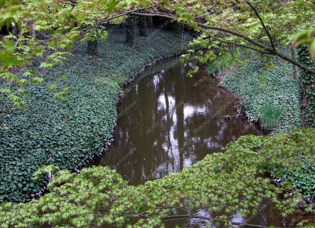 Természet - Vácrátót - Tavasz az arborétumban