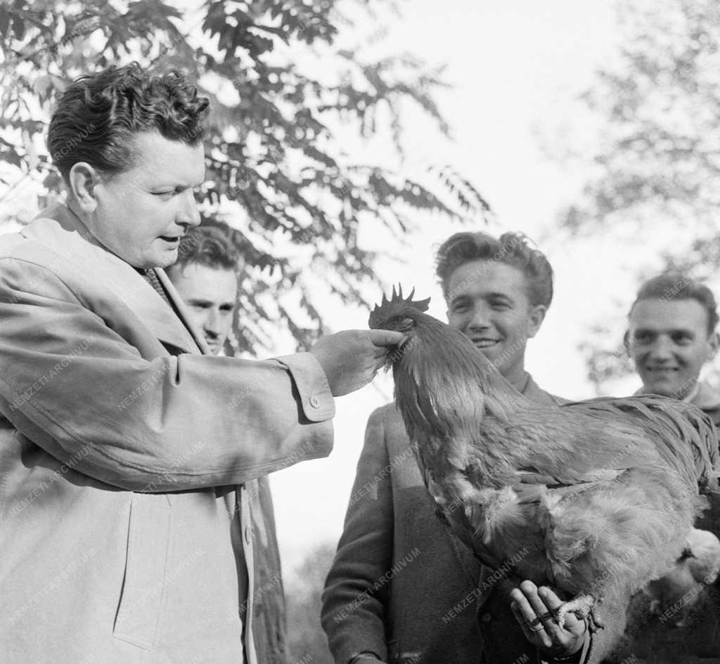 Oktatás - Gödöllői Agrártudományi Egyetem