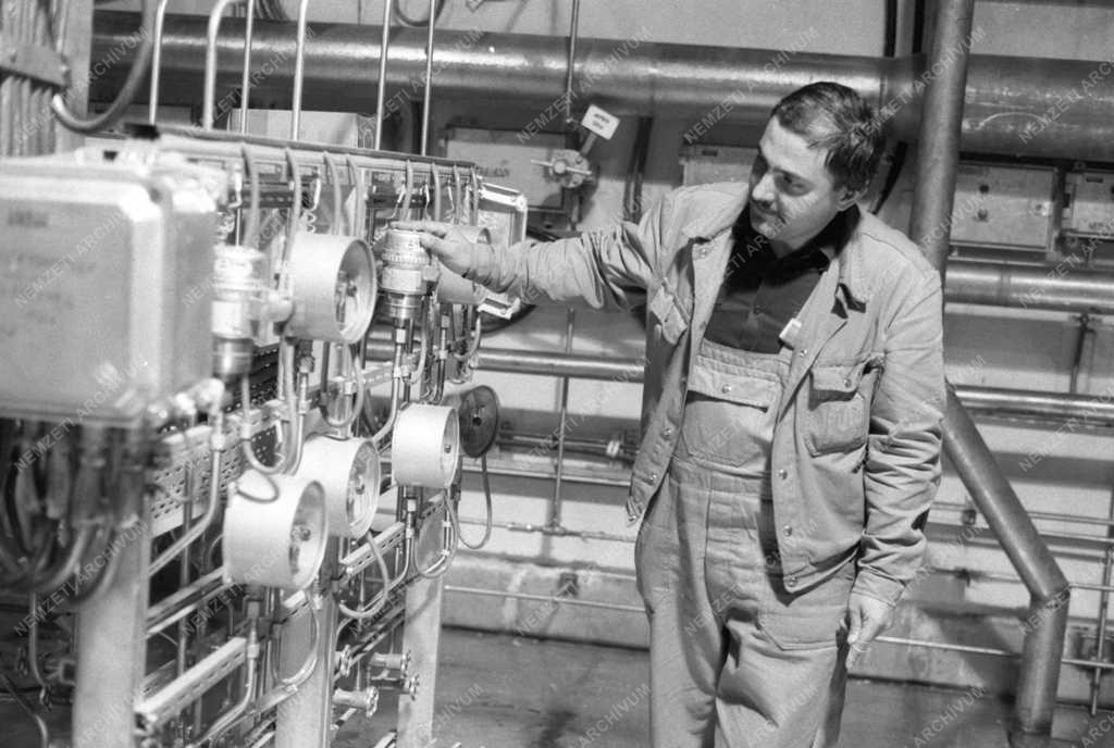 Atomenergia - A Paksi Atomerőmű