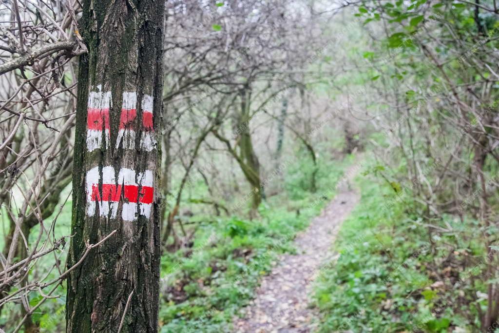 Természet - Nadap - Turista út a Velencei-hegységben