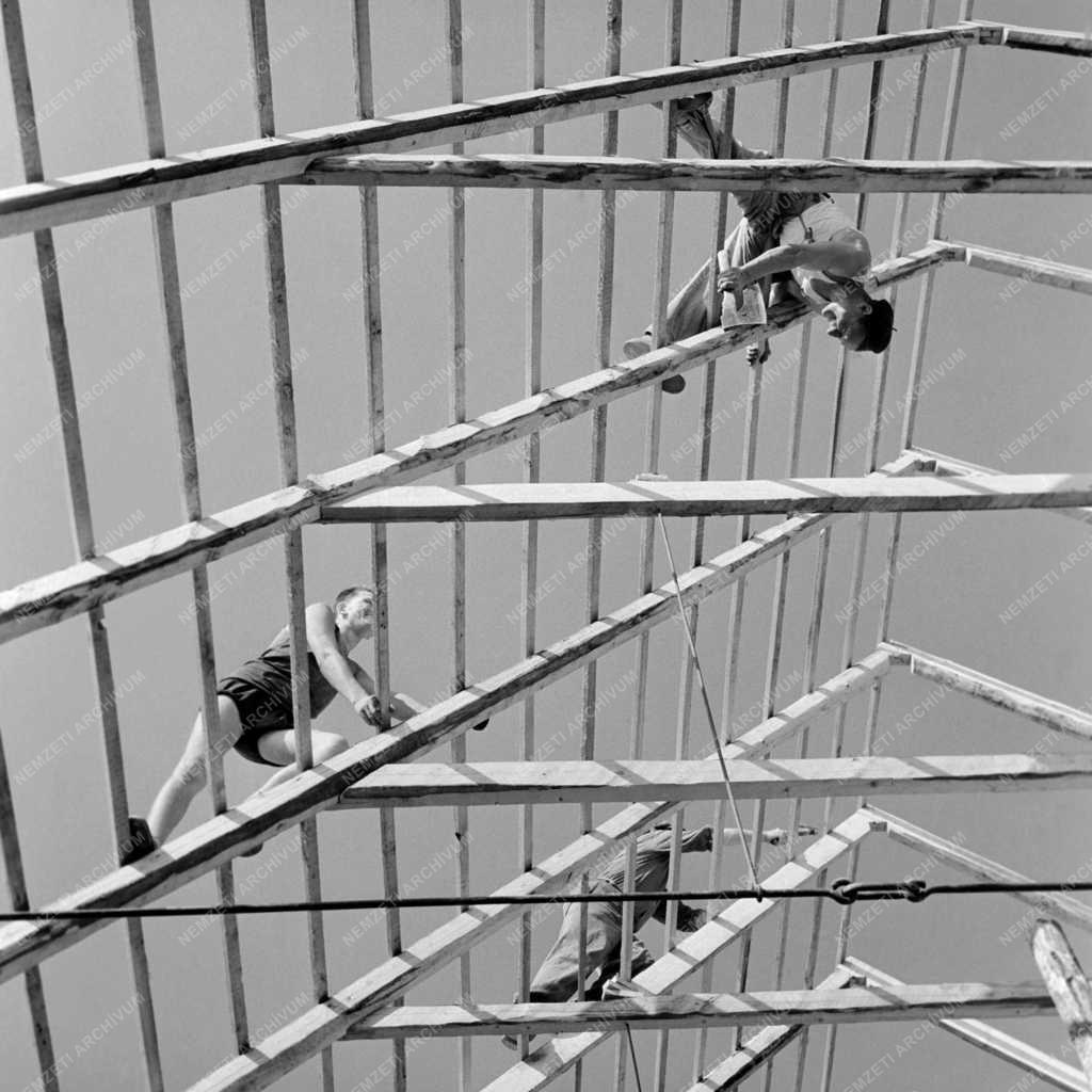 Mezőgazdaság - Juhhodály épül Endrőd községben