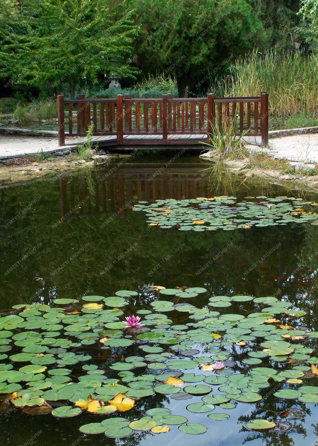 Városkép - Siófok - A Jókai park részlete