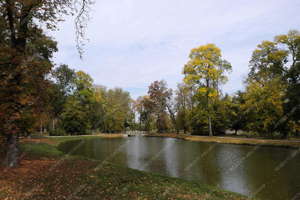 Természet - Dég - Kastély park