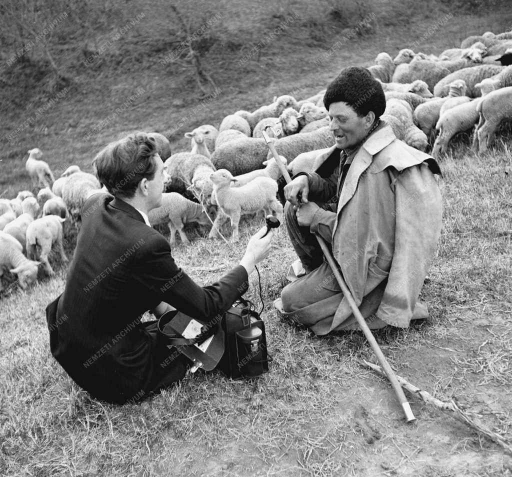 Média - Rádióinterjú - Mezőgazdasági kiállítás