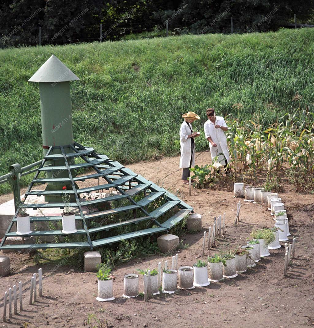 Mezőgazdaság- Tudomány - Agrártudományi Egyetem Genetika és Növénynemesítés Tanszék