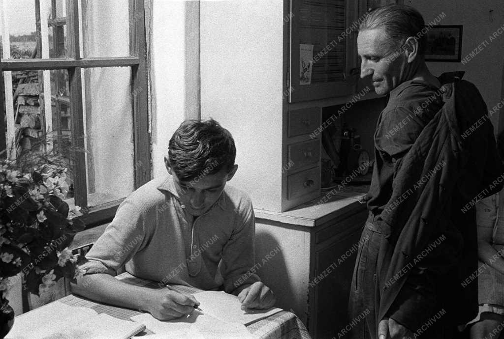 A szerző válogatása - Hencsei Lajos bakter